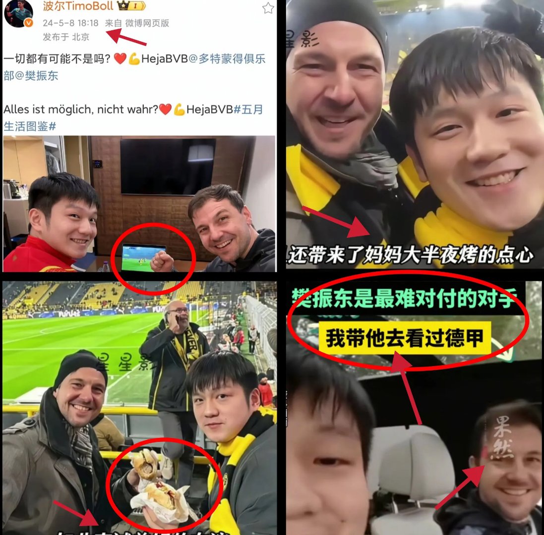 包含中国乒乓球队强势奥地利乒乓球队,波尔统治全场的词条 包含中国乒乓球队强势奥地利乒乓球队,波尔统治全场的词条