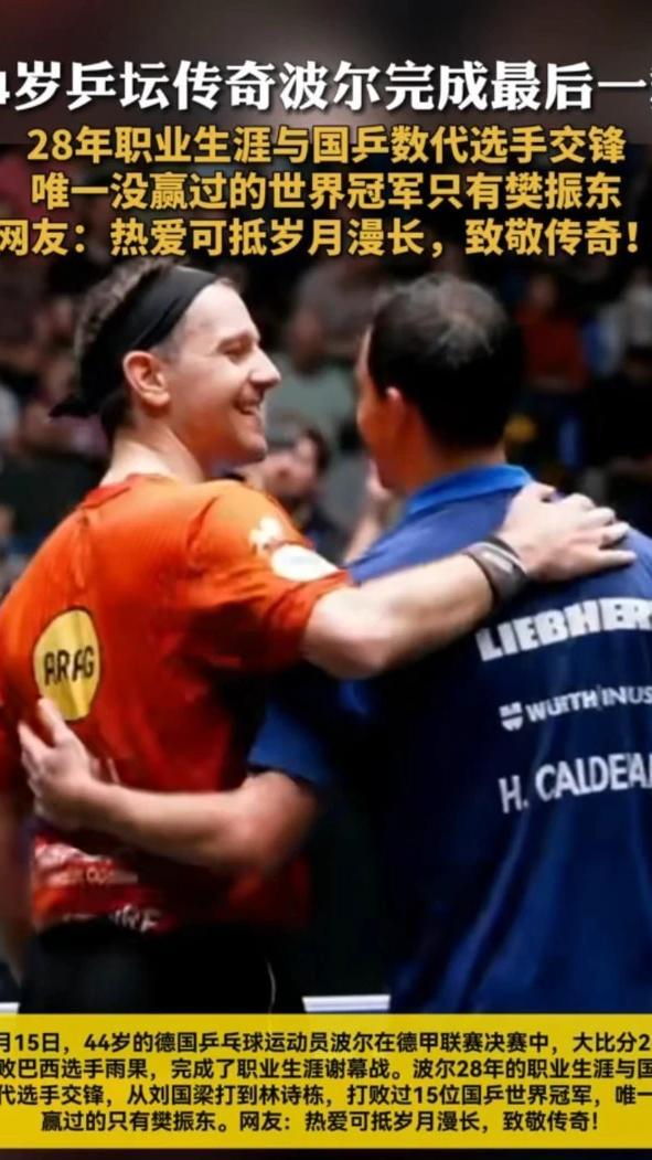 日本乒乓球队逆转比利时乒乓球队，波尔送出助攻