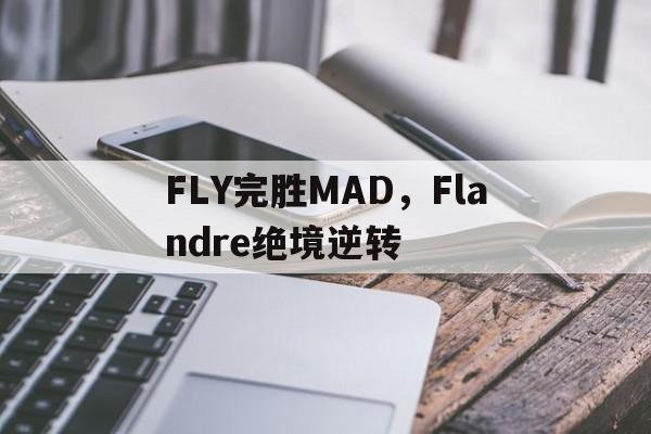 FLY完胜MAD，Flandre绝境逆转