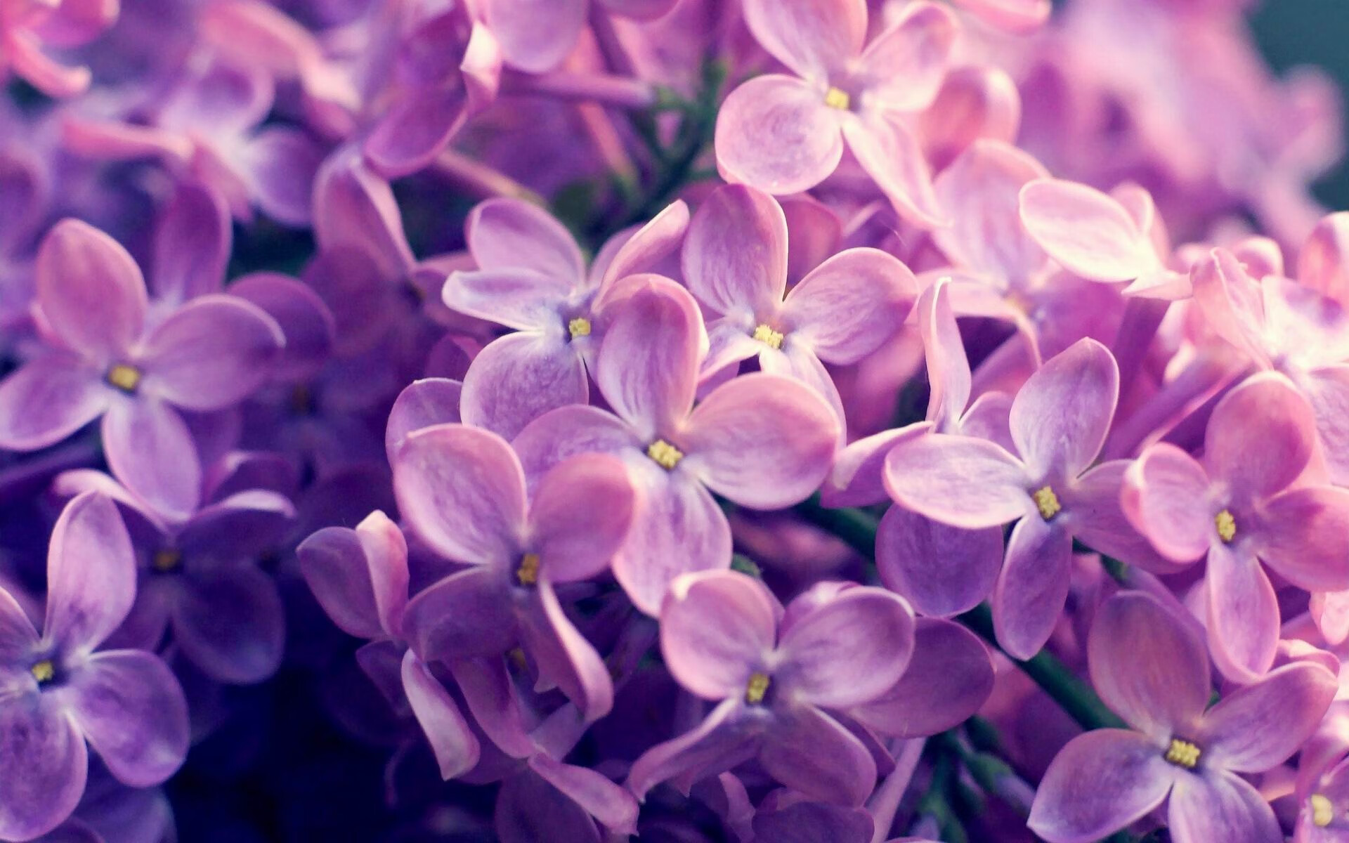 红土霸权与硬地征途，纳达尔何以定义法网碾压美网的王朝叙事？