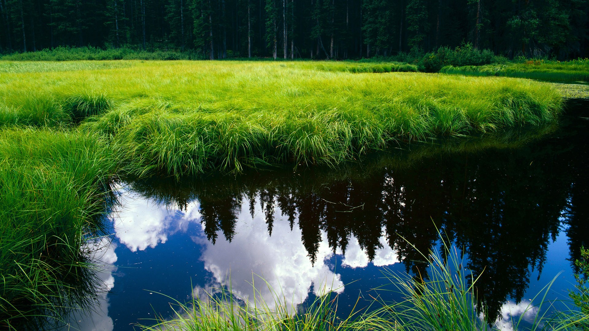南境烈焰与北境风雪，迪巴拉的剑与苏格兰的盾