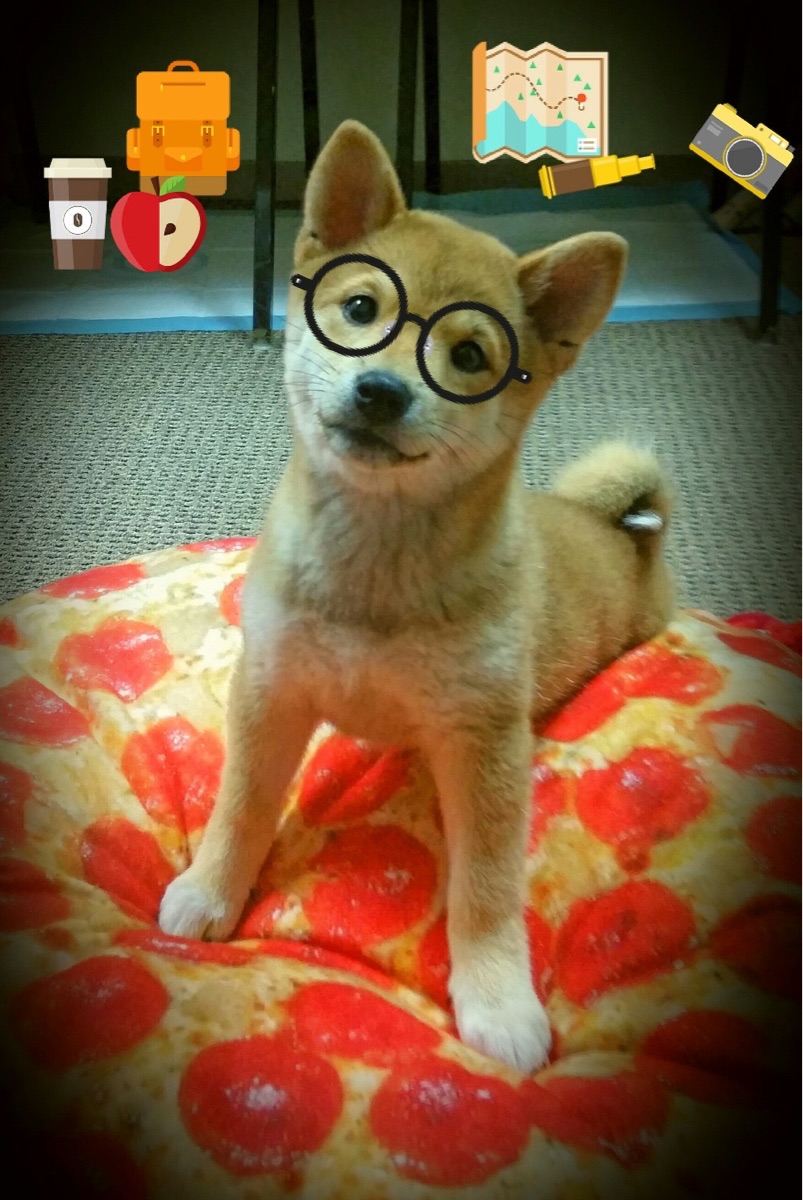 双星闪耀蓝鹰之巅，阿尔及利亚奇迹夜的阿克制造