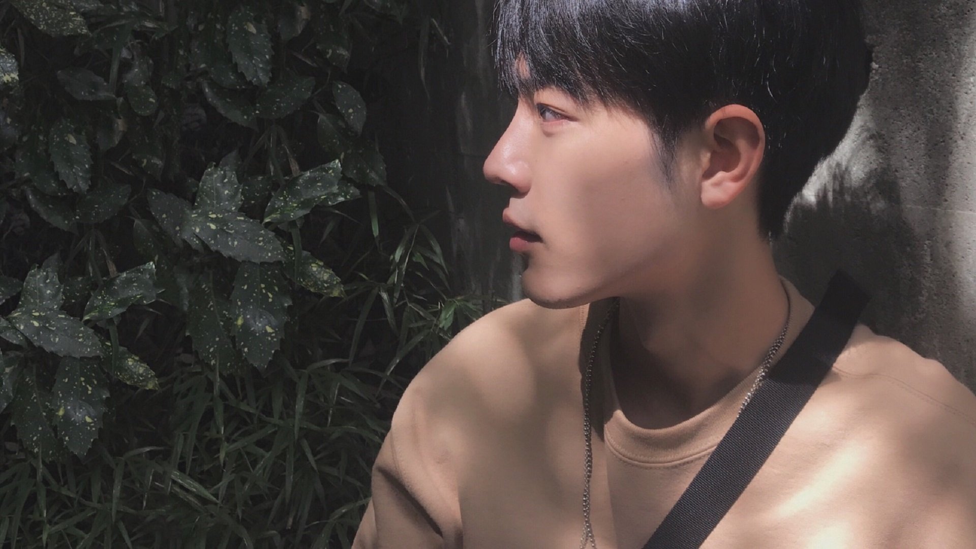 绿茵战术与外交封锁，不同赛场的博弈艺术