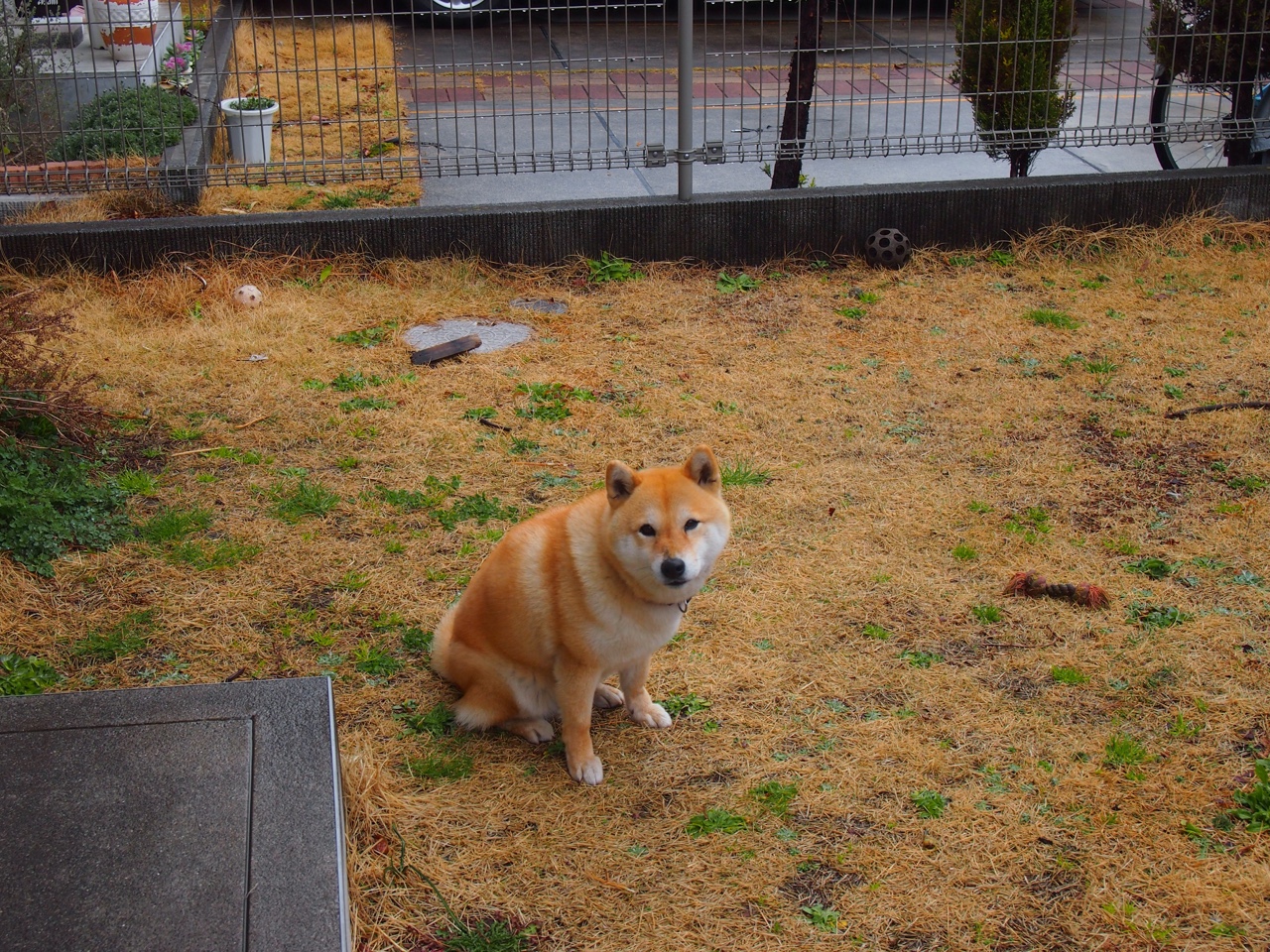 东西对话，辽宁绝境翻盘，詹姆斯用传奇之夜诠释巨星本质