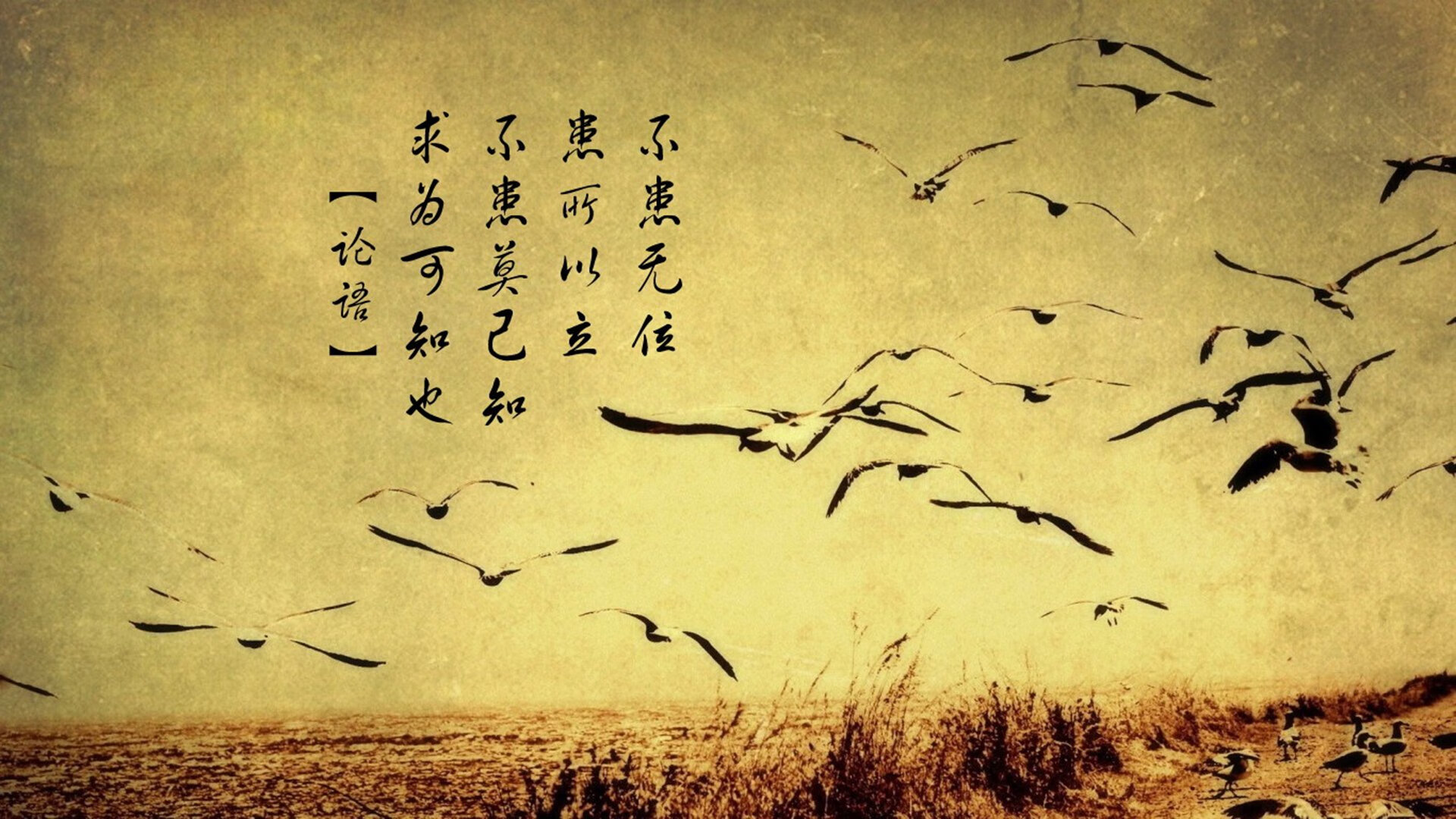 孤独的王座与统一的铁蹄，领袖的双面镜像