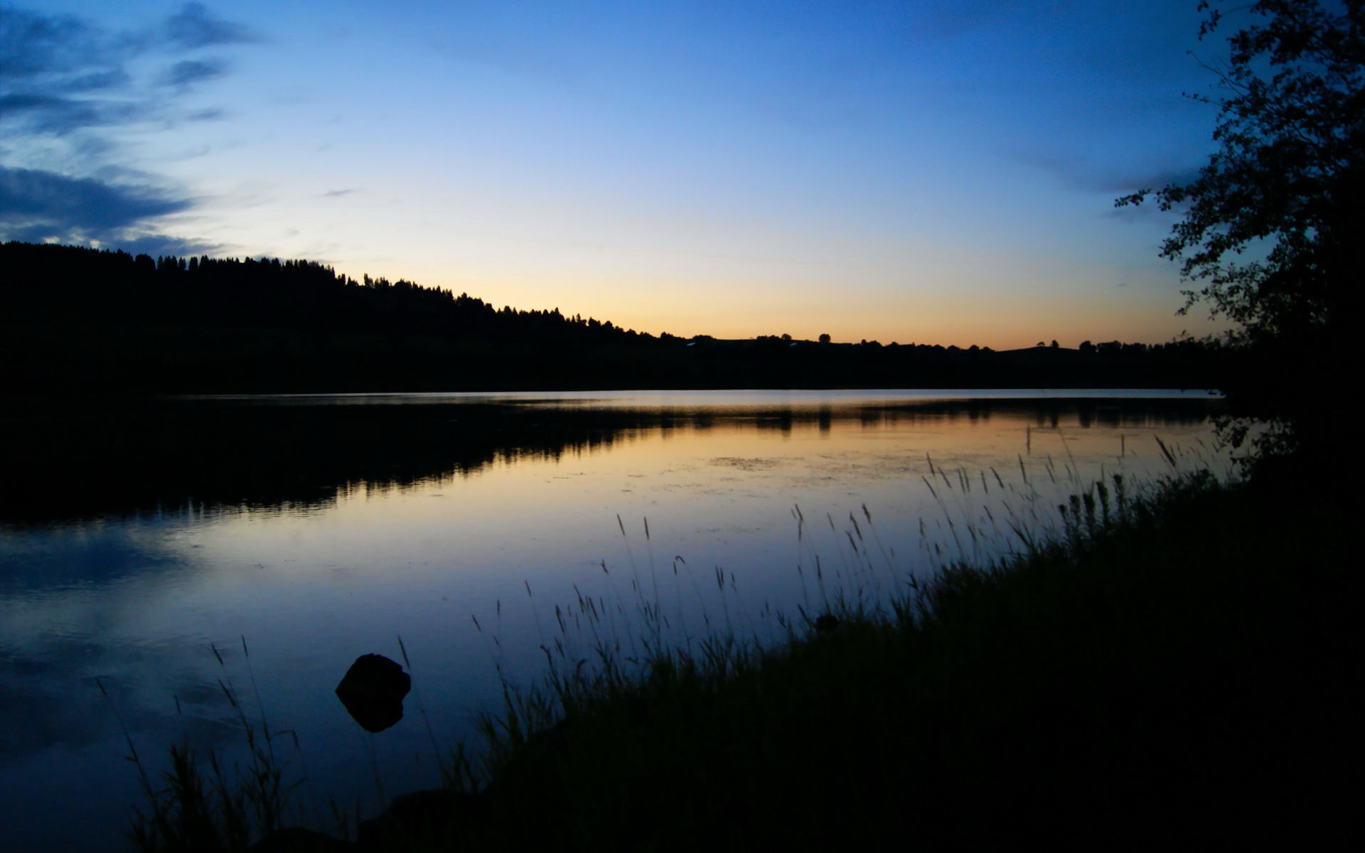 霍勒迪的叹息，当冠军级表现撞上猛龙编织的防守之笼