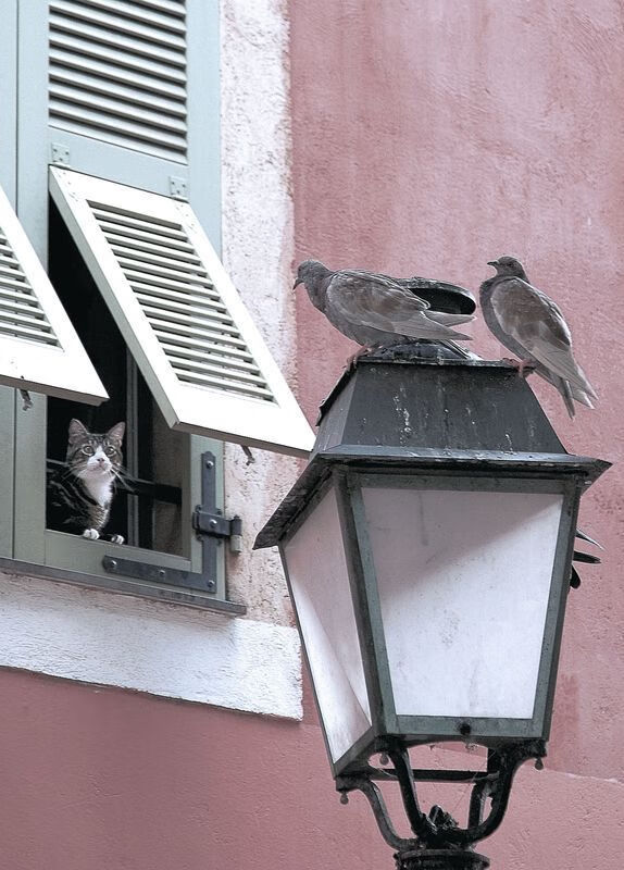 童话与石油的对决，当苏格兰风笛遇见苏亚雷斯的魔法