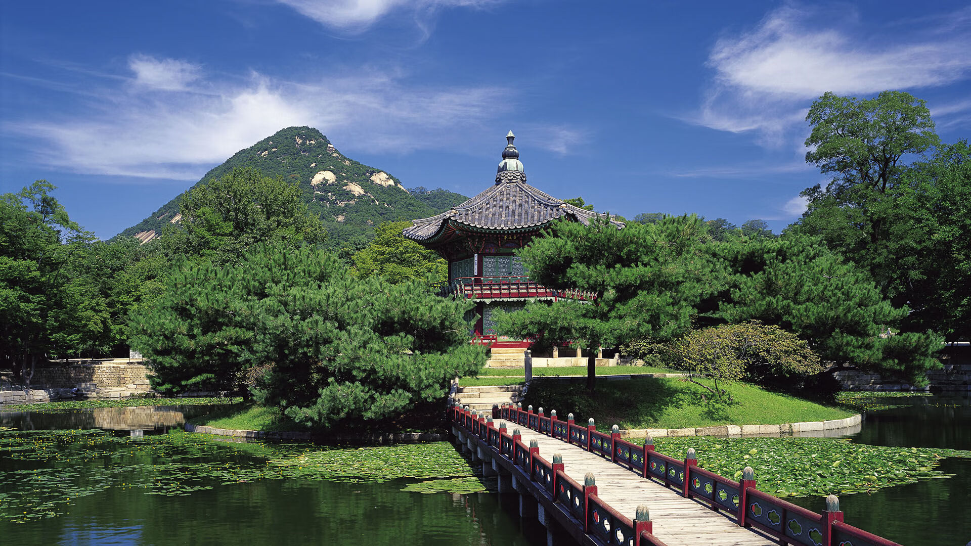 沙漠与冰原的对决，罗德里一箭穿心，卡塔尔险胜背后的关键先生哲学