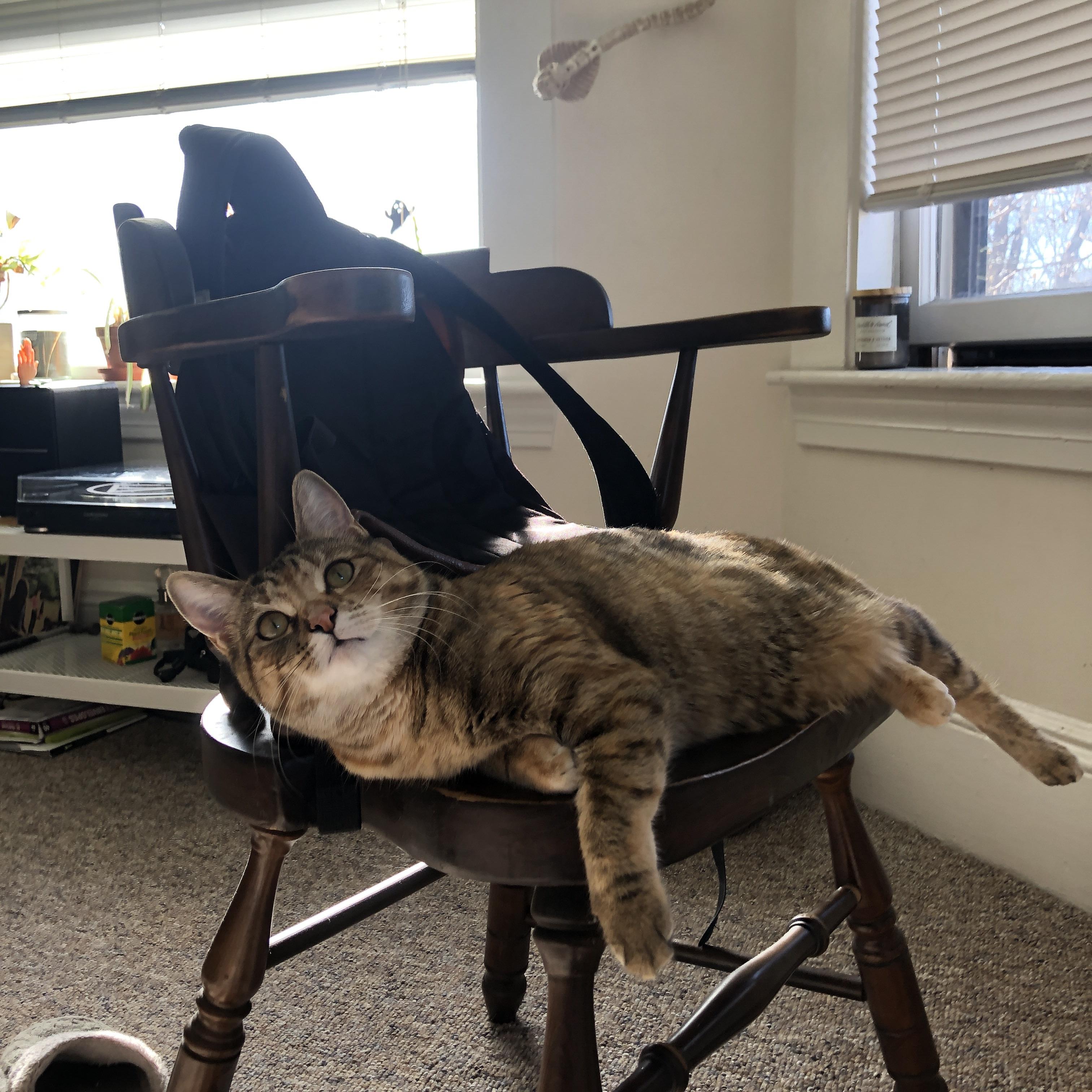 熄火活塞，他是黑暗赛场的那团火