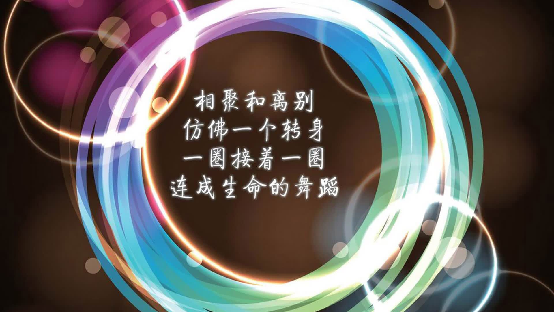 橙衣之壁与锋刃之舞，2026世界杯D组焦点战，荷兰如何以体系压制罗马尼亚，莱万多夫斯基用一人之力逆写比赛剧本